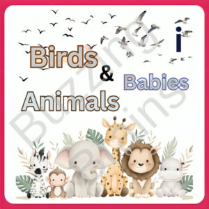 Animals -1 Flashcard- 52 Animals & Babies