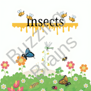 Fidget infinity Cube Toys