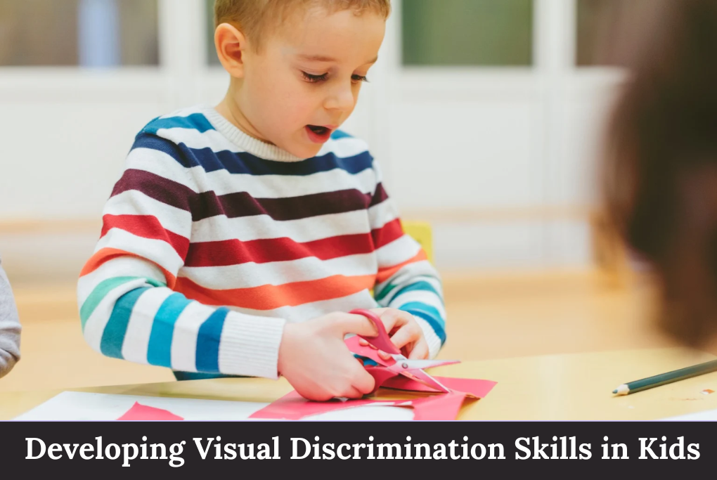 Visual Discrimination Skills