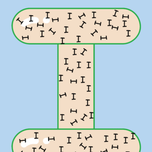 Find the upright letter