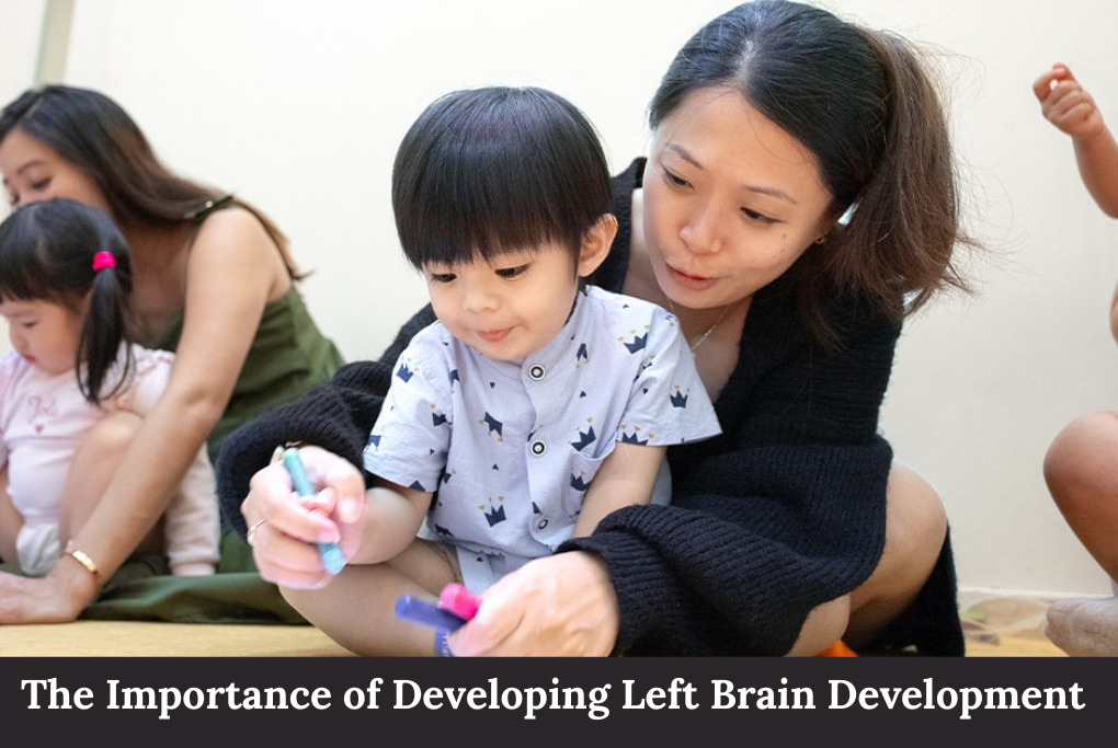 Left Brain Development